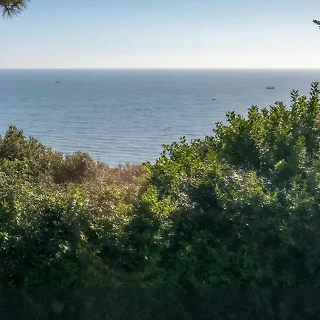 Sea View Homes 1 Wicklow